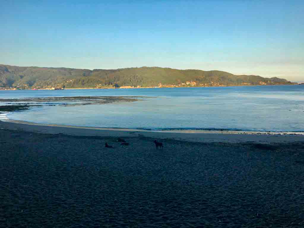 Valdivia_chile_niebla